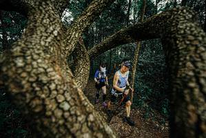 BIB: 
                            <button type="button" onclick="openModal(25669004)" class="btn btn-primary btn-sm float-right btn-popup" data-toggle="modal" data-target=".modal-high-quality">
                        <i class="fas fa-shopping-cart"></i> Add to Cart
                    </button>
                                            <button type="button" onclick="isThisMe(25669004, true)" class="btn btn-success btn-sm float-right btn-popup btn-isme hidden" data-toggle="tooltip" data-placement="bottom" title="นี่คือรูปของคุณใช่ไหม คลิกที่นี่เพื่อเอาเข้าอัลบั้ม">
                        <i class="fas fa-plus"></i> Add to album
                    </button>
                    <button type="button" onclick="isThisMe(25669004, false)" class="btn btn-warning btn-sm float-right btn-popup btn-isnotme hidden">
                        <i class="fas fa-ban"></i> Remove from album
                    </button>